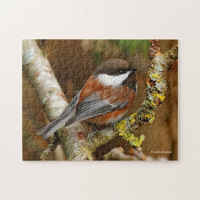Cute Chestnut-Backed Chickadee Songbird Jigsaw Puzzle (Horizontal)