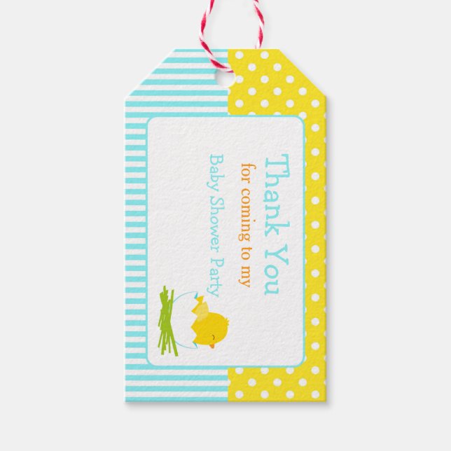 Cute Chick Blue Boy Thank You Gift Tag (Front)