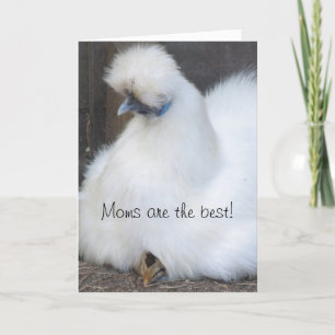 Cute chick "Moms are the best" Mother's Day card