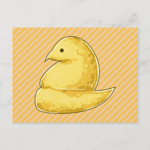 Cute Chick Postcard
