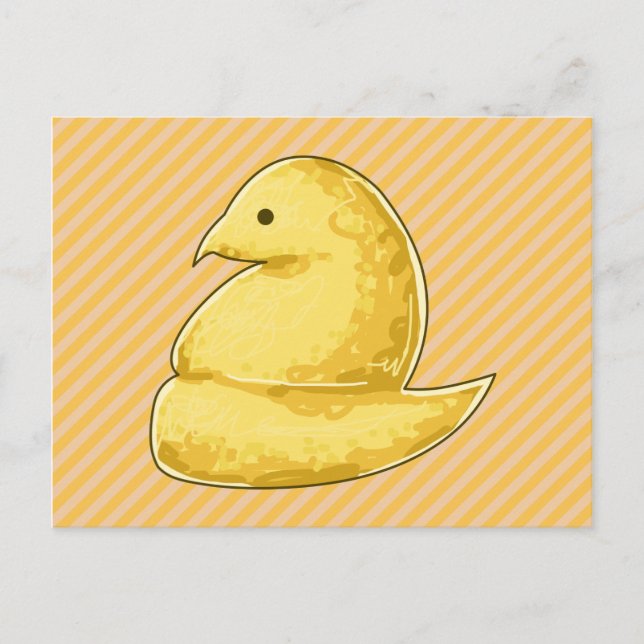 Cute Chick Postcard (Front)
