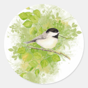 Cute Chickadee Bird in Poplar Tree Classic Round Sticker