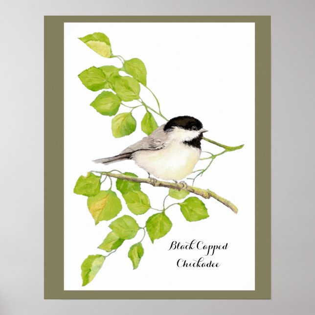 Cute Chickadee Bird in Poplar Tree  Sweet friendly Poster (Front)