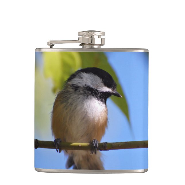 Cute Chickadee on A Branch Photograph Hip Flask (Front)