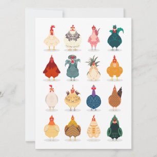 Cute Chicken Card