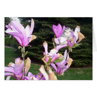 cute chicken in a flower