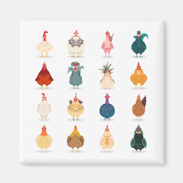 Cute Chicken Magnet (Front)