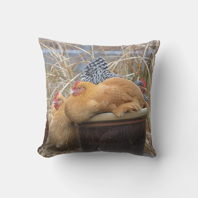 Cute Chicken Pillow (Front)