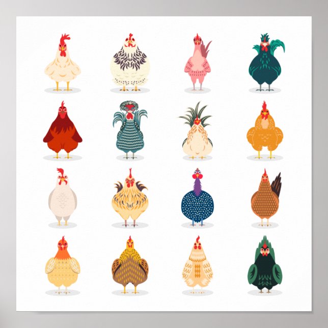 Cute Chicken Poster (Front)