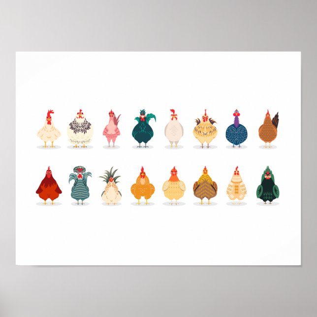 Cute Chicken Poster (Front)