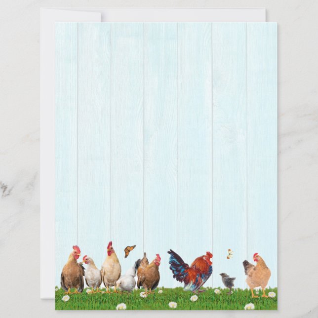 Cute Chicken Stationery - Added Cat on Back (Front)