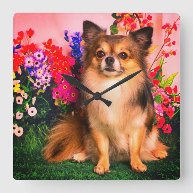 Cute Chihuahua Amid Spring Flowers Square Wall Clock (Front)