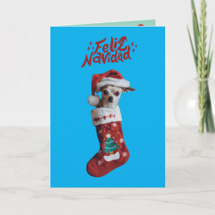 Cute Chihuahua Christmas Holiday Card