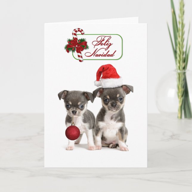 Cute Chihuahua Christmas Puppies Holiday Card (Front)