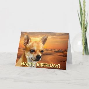 Cute chihuahua customisable greetings card