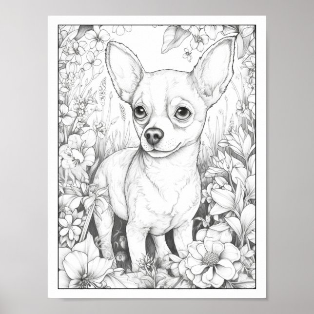 Cute Chihuahua Dog Colouring Poster (Front)
