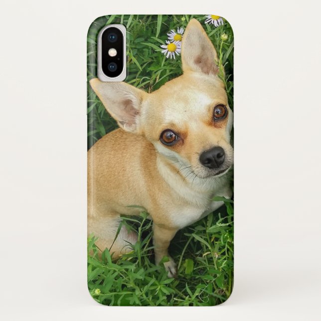 Cute Chihuahua in Grass Meadow Case-Mate iPhone Case (Back)