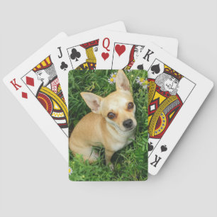 Cute Chihuahua in Grass Meadow Playing Cards
