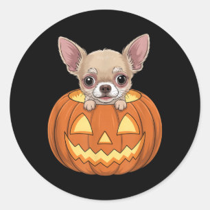 Cute Chihuahua In Pumpkin Funny Dog Halloween Classic Round Sticker
