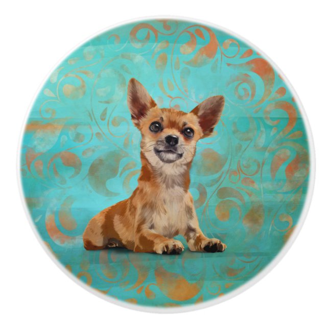 Cute Chihuahua on Paisley Pattern Ceramic Knob (Front)