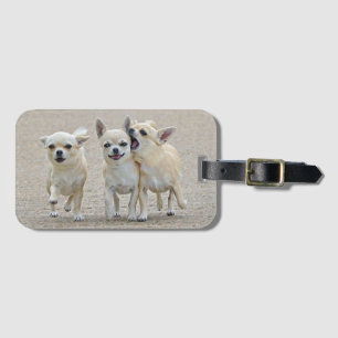 Cute Chihuahua Puppies Luggage Tag