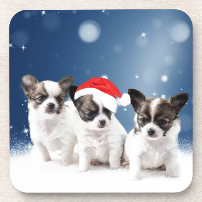 Cute Chihuahua Puppies with Santa Hat Christmas Coaster (Front)