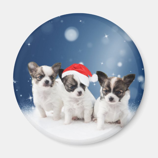 Cute Chihuahua Puppies with Santa Hat Christmas Magnet (Front)