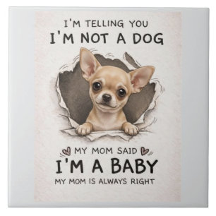 Cute chihuahua puppy ceramic tile