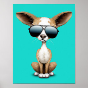 Cute Chihuahua Puppy Wearing Sunglasses Poster