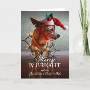 Cute Chihuahua With A Santa Hat Holiday Card