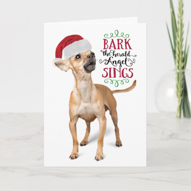 Cute Chihuahua with Santa Hat Holiday Card (Front)