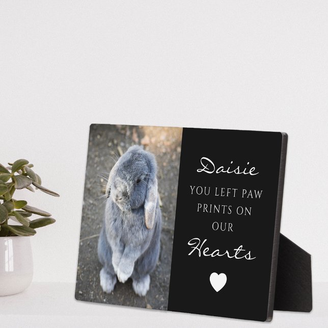 Cute Children's Pet Photo Memorial Plaque (Creator Uploaded)