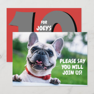 Cute Child's (Any Age) French Bulldog Birthday Invitation