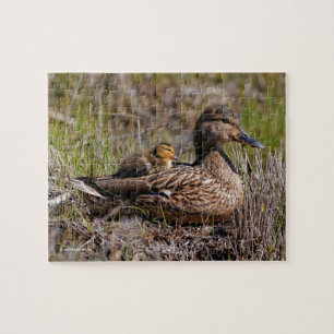 Cute Chillin' Mallard Mum Duck & Baby Duckling Jigsaw Puzzle