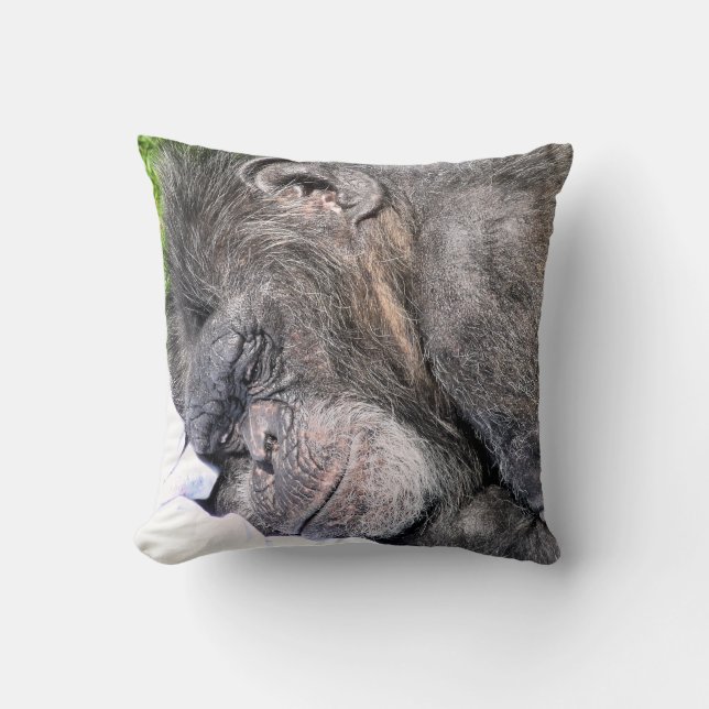 CUTE CHIMPANZEE CUSHION (Front)