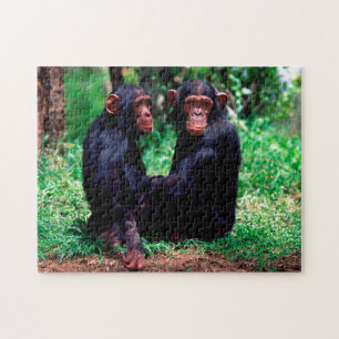 Cute Chimpanzee Siblings, Jigsaw Puzzle