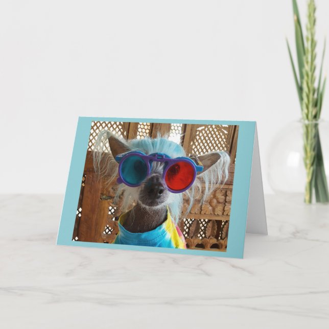 Cute Chinese Crested Hippie Dog Greeting Card (Front)