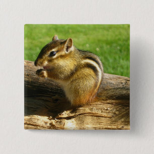 Cute Chipmunk 15 Cm Square Badge