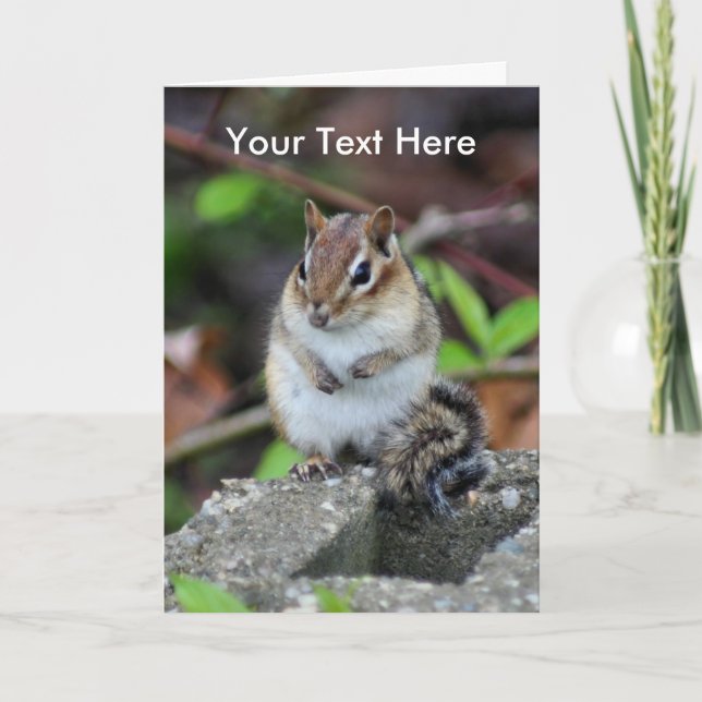 Cute Chipmunk Animal Nature Photo Card (Front)