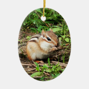 Cute Chipmunk Ceramic Ornament