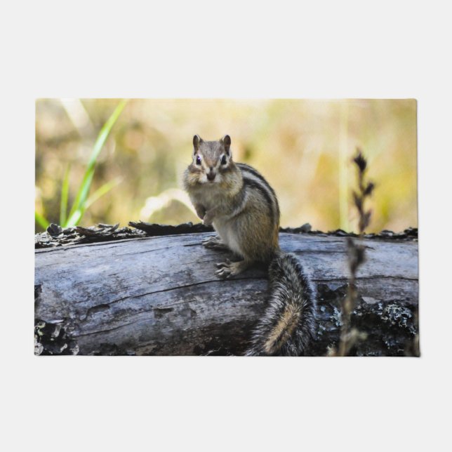 Cute Chipmunk Door Mat (Front)