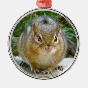 Cute Chipmunk Has His Eye On You Ceramic Ornament