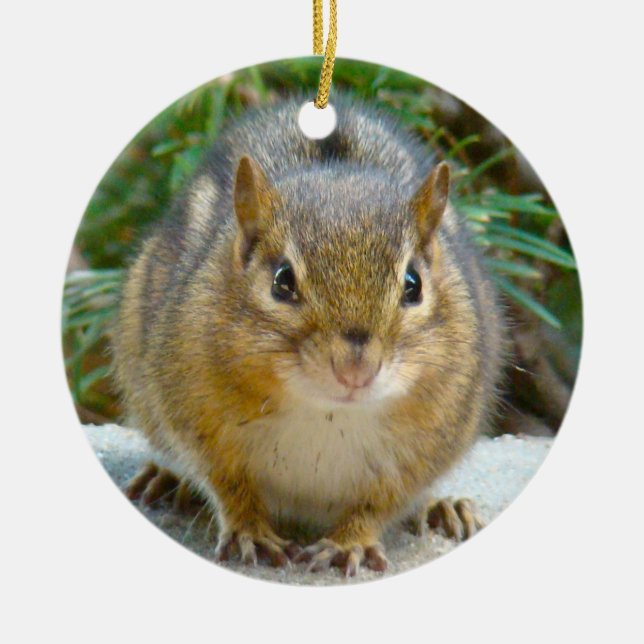 Cute Chipmunk Has His Eye On You Ceramic Tree Decoration (Front)