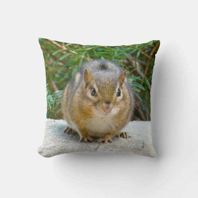 Cute Chipmunk Has His Eye On You Cushion (Front)