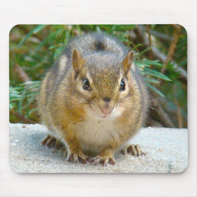Cute Chipmunk Has His Eye On You Mouse Pad (Front)