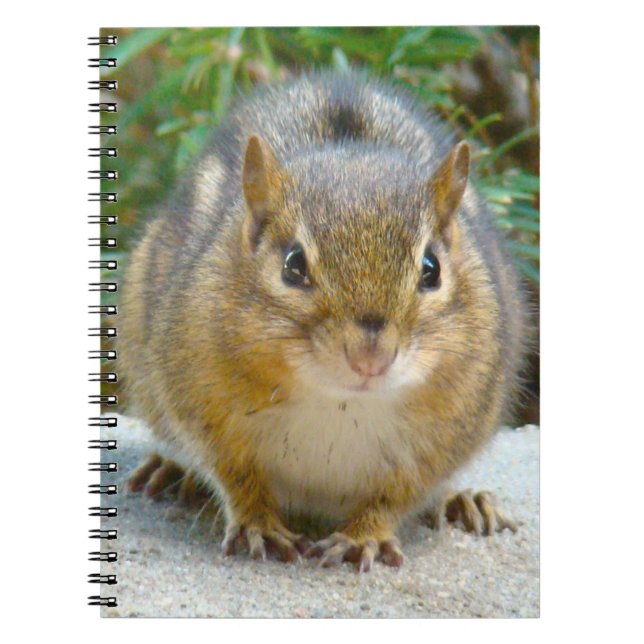 Cute Chipmunk Has His Eye On You Notebook (Front)