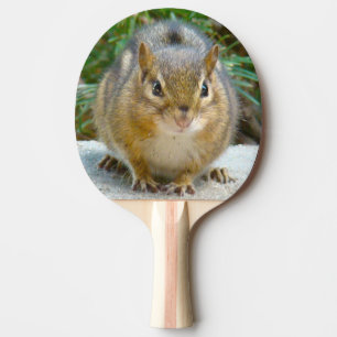 Cute Chipmunk Has His Eye On You Ping Pong Paddle