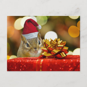 Cute Chipmunk Merry Christmas Holiday Postcard