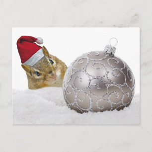 Cute Chipmunk Silver and Snow Christmas Holiday Postcard