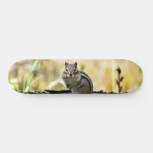 Cute Chipmunk Skateboard